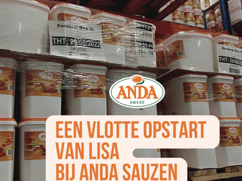 Anda Sauzen implementeert LISA