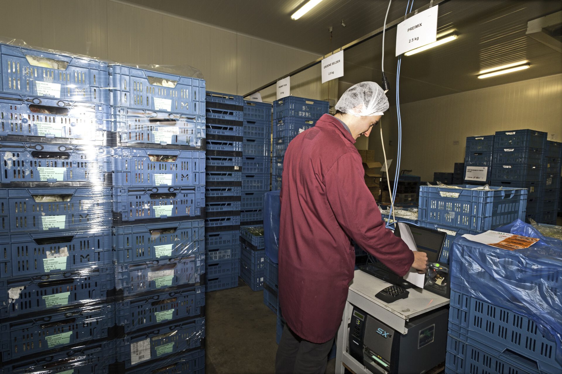 Groenten en fruitbakken